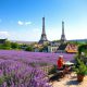 Best Time to Travel to France: Your Seasonal Guide