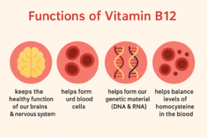 Vitamin B12 Functions