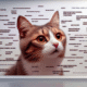 Cat Meme Guide: Achieve Feline Internet Stardom