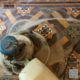 Victorian Hallway Tiles Cleaning for Lasting Floor Elegance