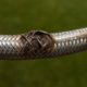 Burst Pipes and Flexi Hoses: Emergency Plumber Tips