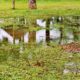 Stormwater Drain Solutions: Exploring Causes in Wollongong