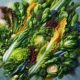 Fresh and Delicious Salad Recipes for Every Meal