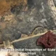 Slate Floor Restoration Timeframe in Australia Explained