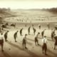 Germiston Golf Club: The Ultimate Destination for Golf Lovers