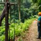 Canopy Tours: Discover Belize’s Zip Lining Adventures