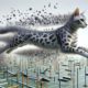 Egyptian Mau Agility: Speed Training for Peak Performance