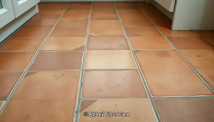 Identifying Factors Contributing to Rapid Dirt Accumulation on Terracotta Floors