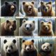 Bear Attack Survival: Key Tips for Staying Safe