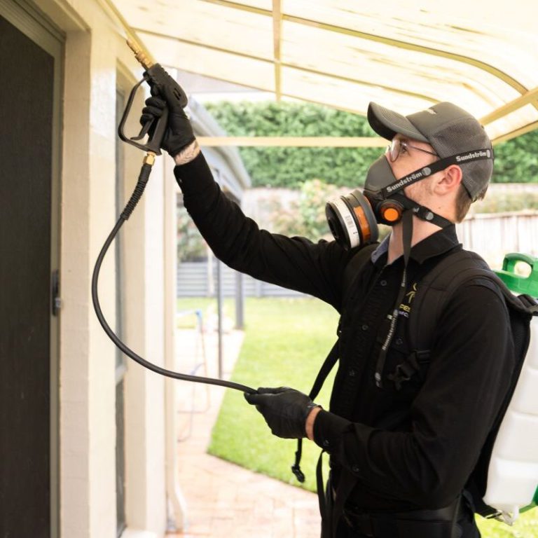 Roof Dusting Pest Control: Knowing When It’s Not Needed
