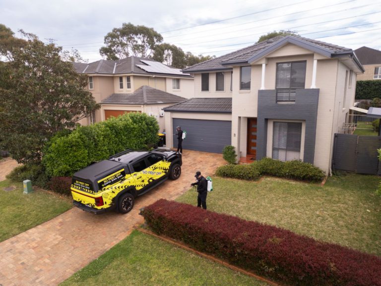 Pest Control Solutions for a Home Free of Bugs
