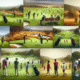 Golf Lessons in South Africa: A Complete Guide to Choosing