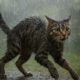 Cats Hate Water: Myths and Reasons Uncovered