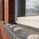 Bird Proofing Solutions: Spike-Free Gel Repellent Options