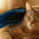 Grooming Gloves: Your Cat’s Best Fur Care Companion