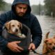 Pet Safety During Flood Evacuations: Essential Tips