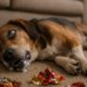Seizure Management for Pets: Top Home Remedies to Try