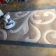 Rug Cleaning Methods: Comparing Steam and Dry by Fibre Type