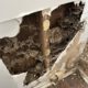 Termite Inspection Timing: Winter Tips for Sydney Residents