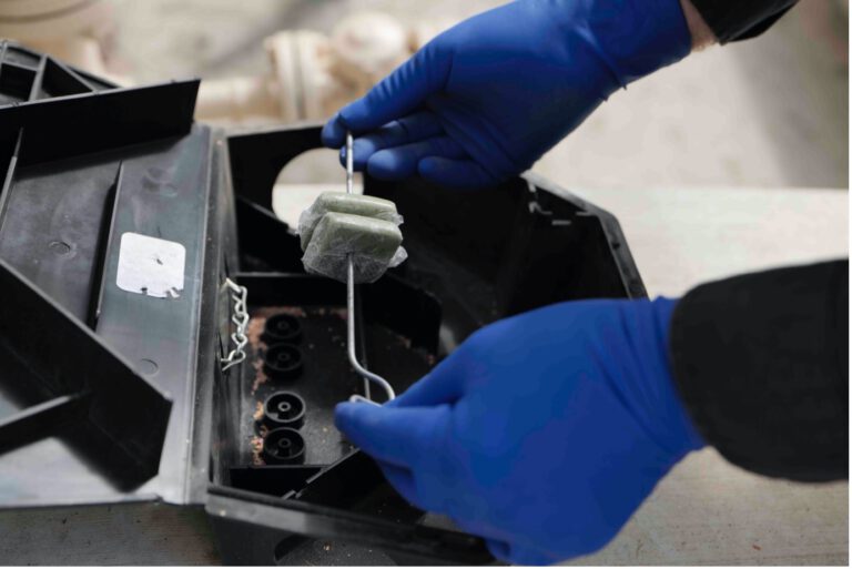Rat Bait Laws in Australia: Essential Updates You Must Know