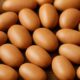 Ogiri Fermented Locust Bean: Simple Homemade Recipe Guide