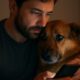 Veterinary Emergency Contacts for Your Pet’s Needs