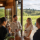 Wine Tasting Tours in Victoria: Best 2026 Picks