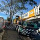 Crane-Assisted Tree Removal Insights from Edgeworth Case Study