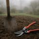 Garden Maintenance Tips for Martock Through Every Season