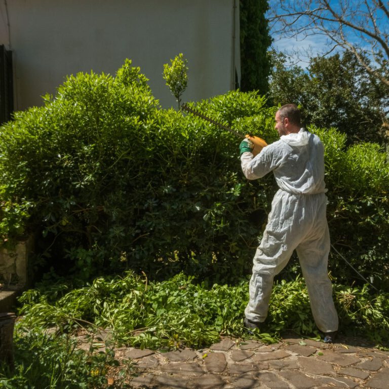 Green Waste Solutions: 4 Effective Disposal Methods