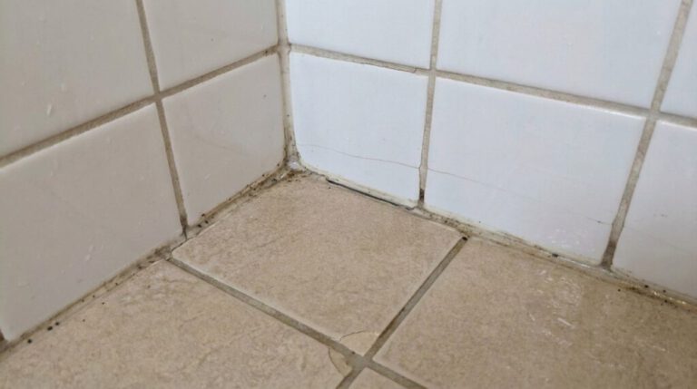 Shower Reseal: Is It a Lasting Solution or Just a Quick Fix?